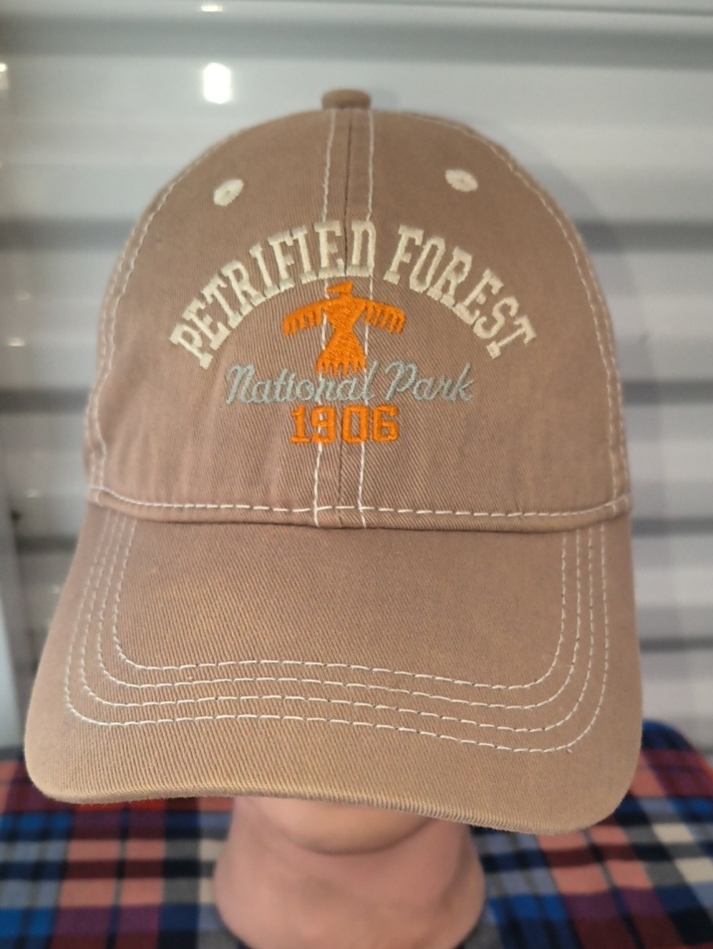 Petrified Forest National Park Embroidered Logo Strapback Hat Cap OSFM
